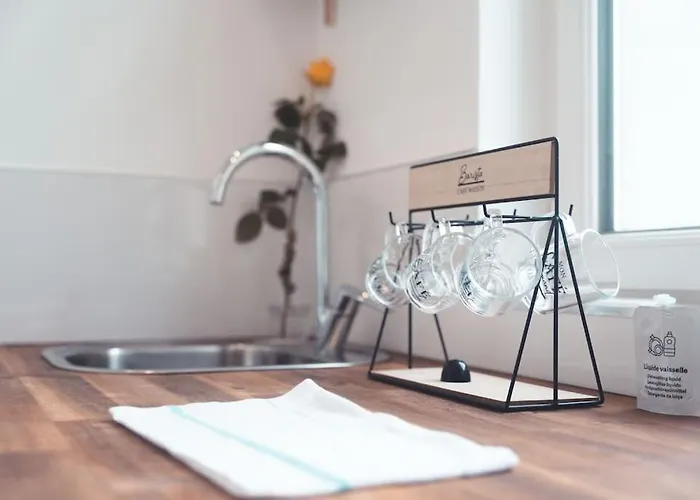 Appartement Le Sauvignon, T2 De Caractere Avec Jardin