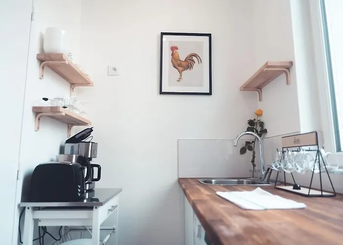 Le Sauvignon, T2 De Caractere Avec Jardin